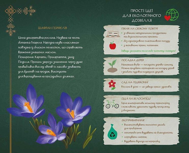 Блокнот Мавка Весна Лісова Обкладинка ЛП1815004У 9789667514068 9789667514068 фото