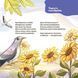 Книга Віршенята-загадки для малят. 3&ndash;5 років МТБ013 9786170043092 9786170043092 фото 2