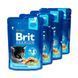 Набір паучів 3+1 Brit Premium Kitten Chicken Chunks для кошенят шматочки в соусі з куркою 4х100 г VAFO_030349 фото 3