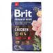 Корм сухий Brit Premium Dog Adult L для дорослих собак великих порід вагою 25-45 кг з куркою 3 кг 8595602526444 170825/6444 фото 7