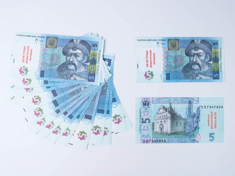 Грошові знаки (дидактичний набір) 9786176341185 9786176341185 фото