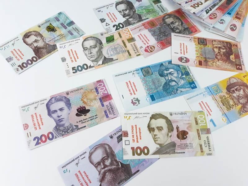 Грошові знаки (дидактичний набір) 9786176341185 9786176341185 фото