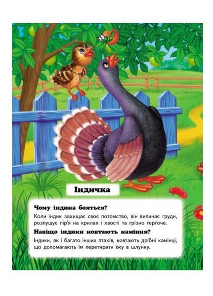 Хто це? На фермі. Запитання та відповіді 9789669470492 фото