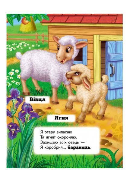Хто це? На фермі. Запитання та відповіді 9789669470492 фото
