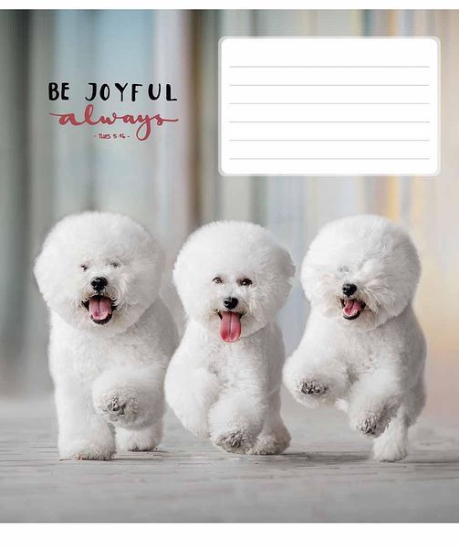 Комплект 5 шт. учнівських зошитів Be joyful always. Зошит Школярик 12 арк. у клітинку 3263 012-3263K 4820006470432 4820006470432_8 фото
