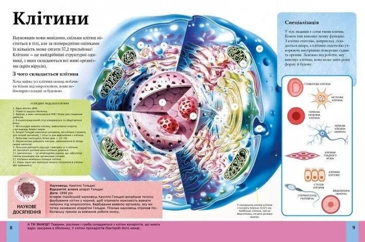 Дитяча енциклопедія тіла людини Віват 9789669429889 фото