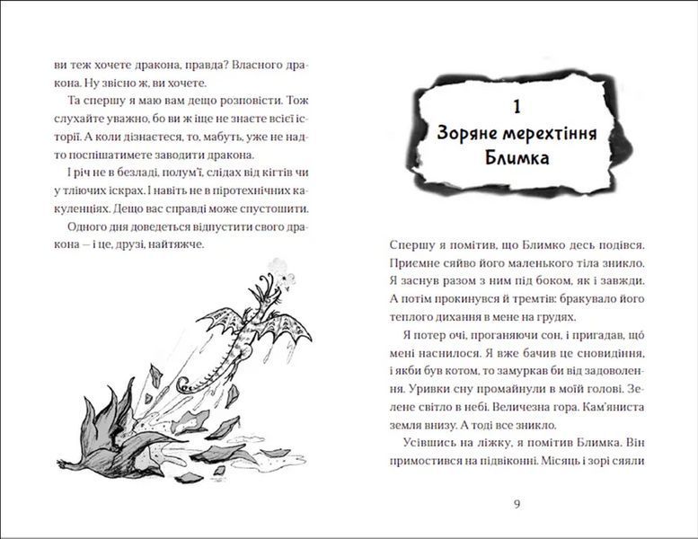 Книга Хлопчик, який літав з драконами 9789664480991 9789664480991 фото