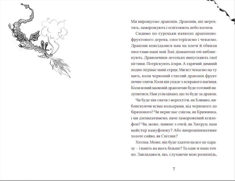Книга Хлопчик, який літав з драконами 9789664480991 9789664480991 фото