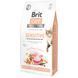 Корм сухий Brit Care Cat Grain Free Sensitive HDigestion Delicate Taste для дорослих котів з чутливим травленням з індичкою 171281/0693 фото 1