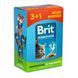 Набір паучів 3+1 Brit Premium Cat Chicken Slices for Sterilised для стерилізованих котів шматочки в соусі з куркою 4х100 г VAFO_030356 фото 1