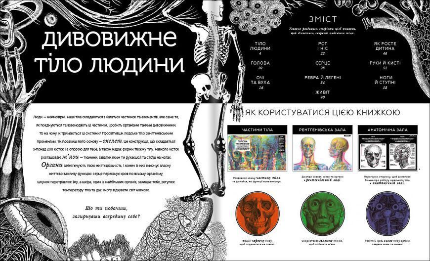 Прихований світ людського тіла. ТВЕРДА ОБКЛАДИНКА! Автор Кейт Девіс 9786177820504 фото