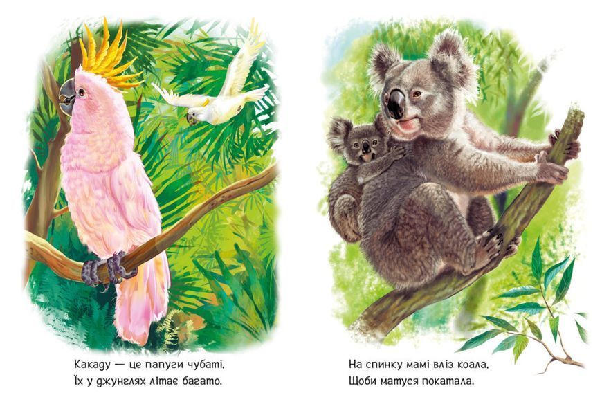 Книжка-картонка "Малятам про звіряток. Лісові звірята" Автор Меламед Геннадій 9786170978752 фото