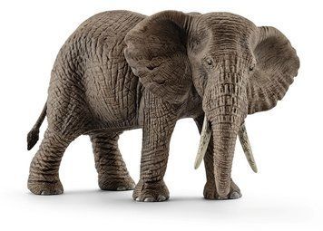 Іграшка фігурка Schleich Африканська слониха (6688193) 4005086147614 4005086147614 фото