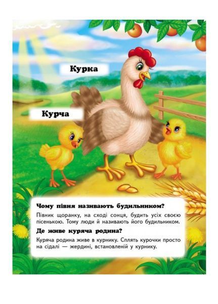 Хто це? Свійські. Запитання та відповіді 9789669470515 фото