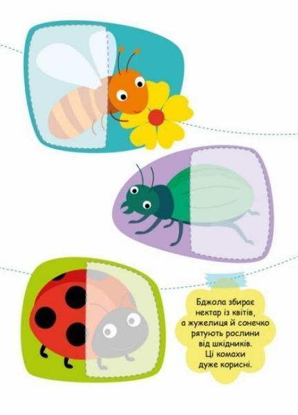Книжка з наліпками Шукаємо половинки. Комахи. Пуляєва А. С1700004У 9789667512651 487290 фото