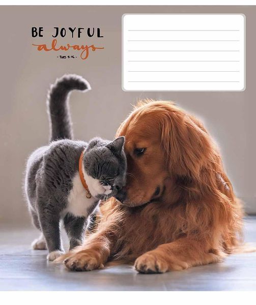 Комплект 5 шт учнівських зошитів Be joyful always. Зошит Школярик 18 арк. у лінію 3263 018-3263L 4820006470470 4820006470470_11 фото