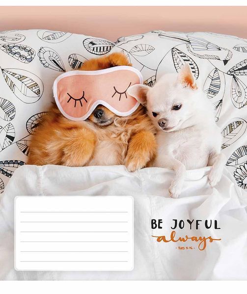 Комплект 5 шт учнівських зошитів Be joyful always. Зошит Школярик 18 арк. у лінію 3263 018-3263L 4820006470470 4820006470470_11 фото