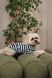 Футболка Pet Fashion Breeze для собак S 4823082445806 PR244580 фото 4