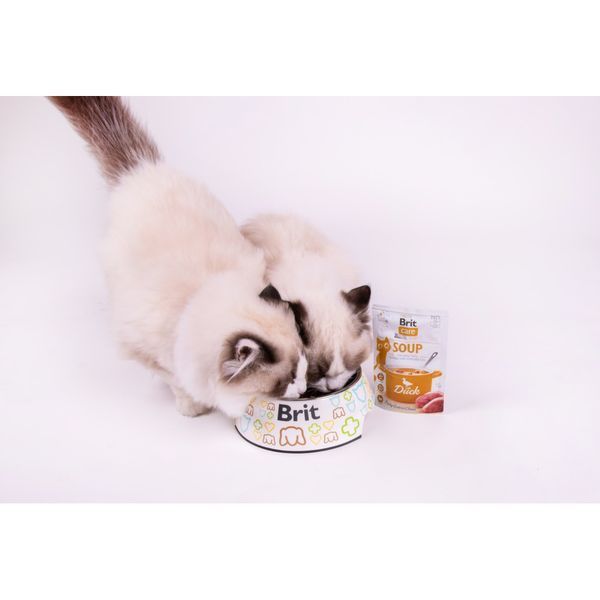 НАБІР Корм вологий Brit Care Soup Duck для котів суп качка 75 г 15 шт 101056_набір фото