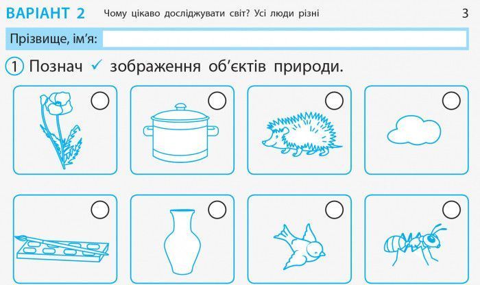 Я досліджую світ. 1 клас. Відривні картки. До підручника І. Грущинської; З. Хитрої; І. Дробязко 9786170956163 фото