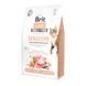 Корм сухий Brit Care Cat Grain Free Sensitive HDigestion Delicate Taste для котів з чутливим травленням індичка та лосось 171282/0709 фото 1