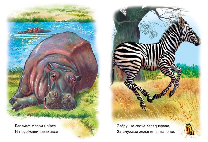 Книжка-картонка "Малятам про звіряток. Тварини світу" Автор Меламед Геннадій 9786170978677 фото