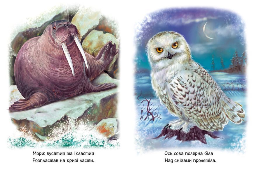 Книжка-картонка "Малятам про звіряток. Тварини світу" Автор Меламед Геннадій 9786170978677 фото