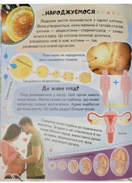 Енциклопедія Тіло людини. Унікальні факти, цікава інформація про людину 9789664668221 фото