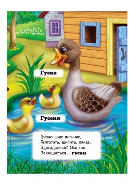Хто це? На подвір'ї. Запитання та відповіді 9789669470539 фото