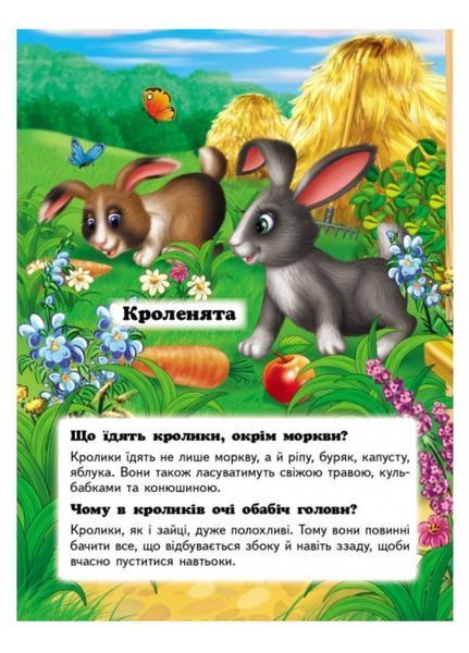 Хто це? На подвір'ї. Запитання та відповіді 9789669470539 фото