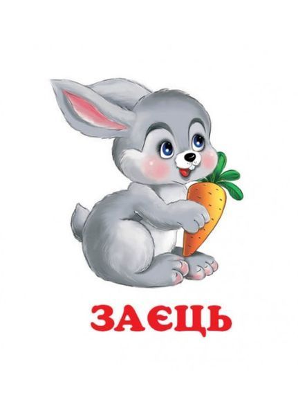 Навколишній світ для найменших. Звірятка 9786177166404 фото