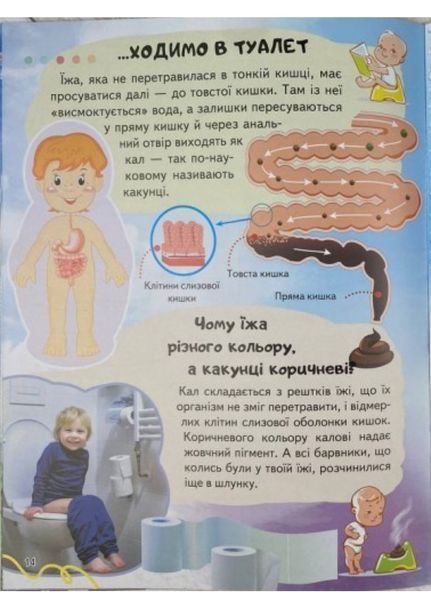 Енциклопедія Тіло людини. Унікальні факти, цікава інформація про людину 9789664668221 фото