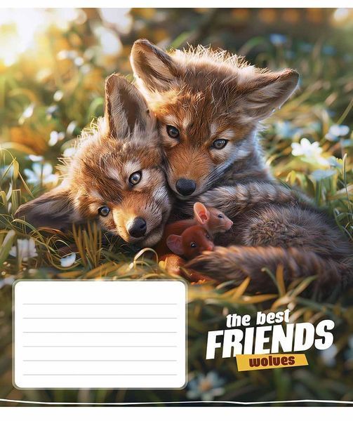 Комплект 5 шт. учнівських зошитів The best friends. Зошит Школярик 12 арк. у клітинку 3434 4820006470432 4820006470432_012-3434K фото