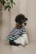 Футболка Pet Fashion Breeze для собак XS2 4823082445820 PR244582 фото 6