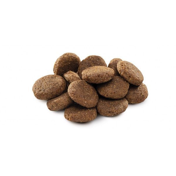 Корм сухий Brit Premium Dog Senior L+XL для собак похилого віку великих та гігантських порід вагою 25-90 кг з куркою 3 кг 8595602526475 170828/6475***** фото