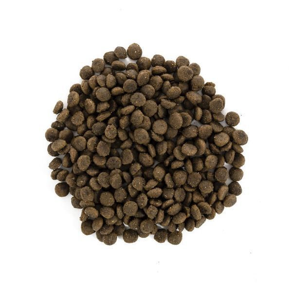 Корм сухий Brit Care Grain Free Mini Puppy Lamb для цуценят та молодих собак мініатюрних порід з ягням 2 кг 8595602520138 170773/0138 фото