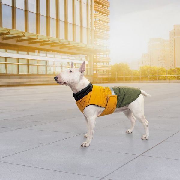 Попона Pet Fashion Roy для собак хакі/гірчиця 5XL 4823082432813 4823082432813 фото