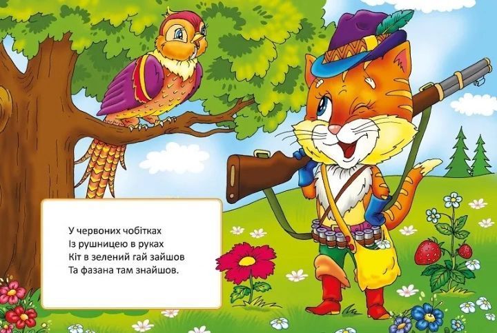 Книга Форми й кольори 9789669423283 9789669423283 фото
