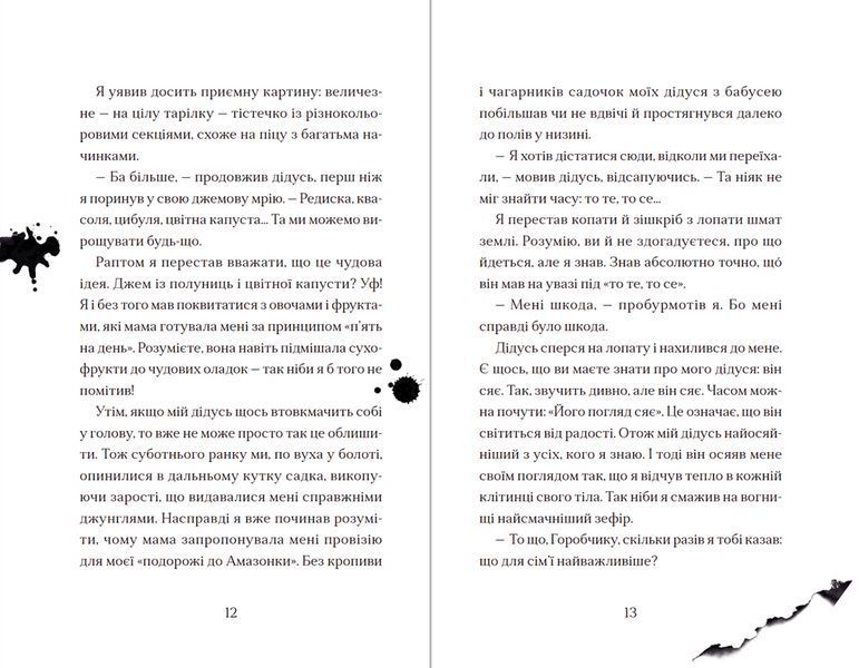Книга Хлопчик, який вирощував драконів. Книга 1. Автор - Енді Шепард (ВСЛ) 9789666799664 фото