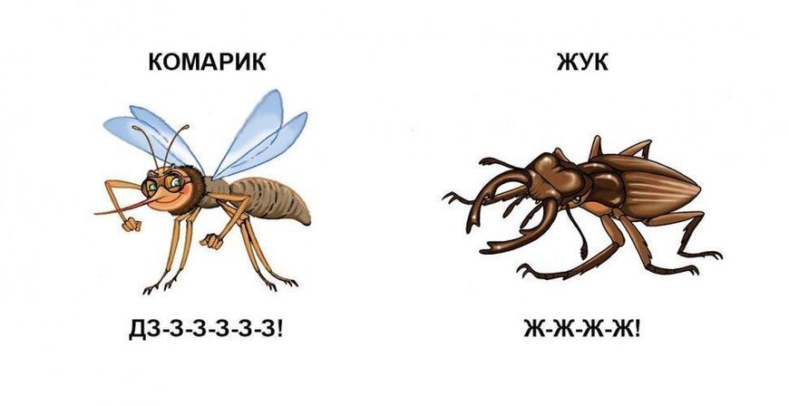 Книжка-картонка "Хто як говорить" Талант Автор Лілія Гуменна 0+ 9786176953890 фото