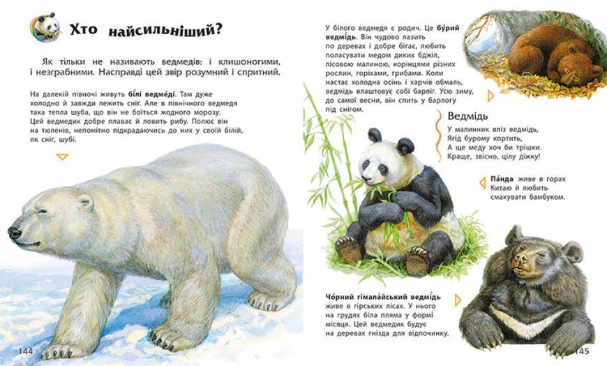 Книга "Енциклопедія дошкільника" Тверда Обкладинка Автор Каспарова Ю. С902133У 9786170973443 9786170973443 фото