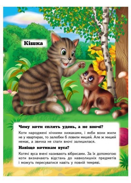 Хто це? Запитання та відповіді. Набір 9789669470539N фото