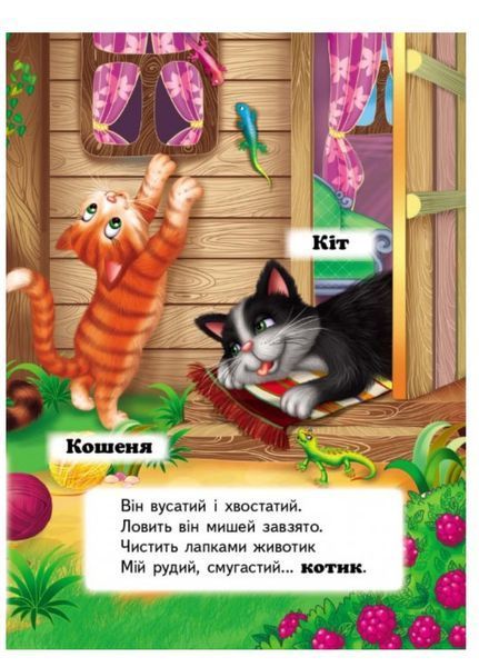 Хто це? Запитання та відповіді. Набір 9789669470539N фото
