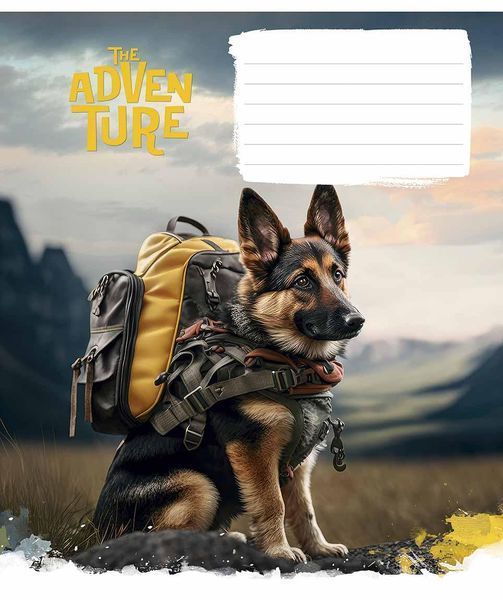 Набір 5 шт, зошит учнівський, The adventure (ВД-лак). Зошит Star у лінію 24арк. 3285 4820006472115 4820006472115_2 фото