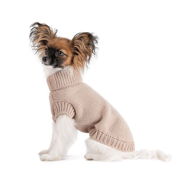 Светр Sam Pet Fashion для собак розмір S бежевий 4823082442461 4823082442461 фото