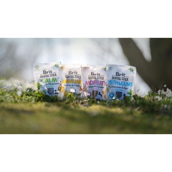 Ласощі Brit Dental Stick Teeth and Gums для дорослих собак з ромашкою та шавлією для здоров'я ясен і зубів 7 шт 251 г 8595602564354 8595602564354 фото