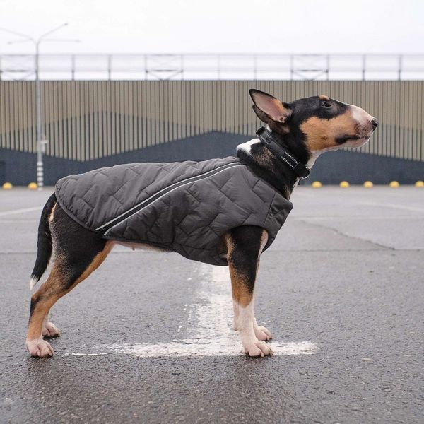 Жилет Pet Fashion E.Vest для собак сірий L 4823082424412 4823082424412 фото