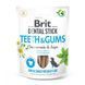 Ласощі Brit Dental Stick Teeth and Gums для дорослих собак з ромашкою та шавлією для здоров'я ясен і зубів 7 шт 251 г 8595602564354 8595602564354 фото 1