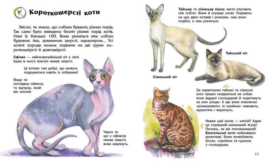 Енциклопедія дошкільника. Коти С614039У 9786170992741 9786170992741 фото