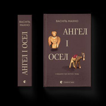 Книга Ангел і осел. Автор - Махно Василь ВСЛ 9789664486443 9789664486443 фото